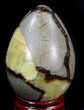 Polished Septarian Egg #41794-1